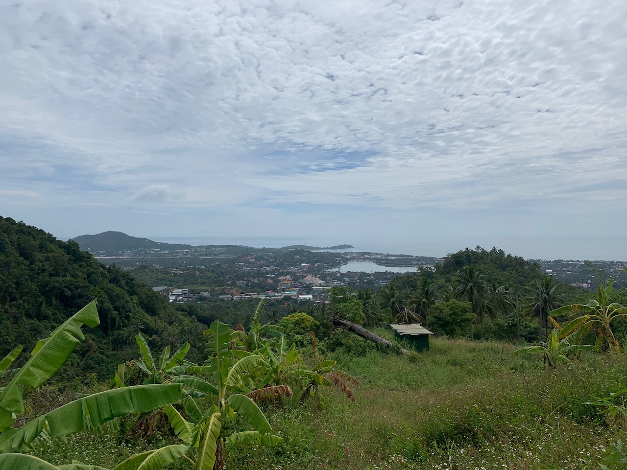 Chaweng Sea View Land For Sale Koh Samui – image 3 Chaweng Sea View Land For Sale Koh Samui – Land in Koh Samui (photo 3)