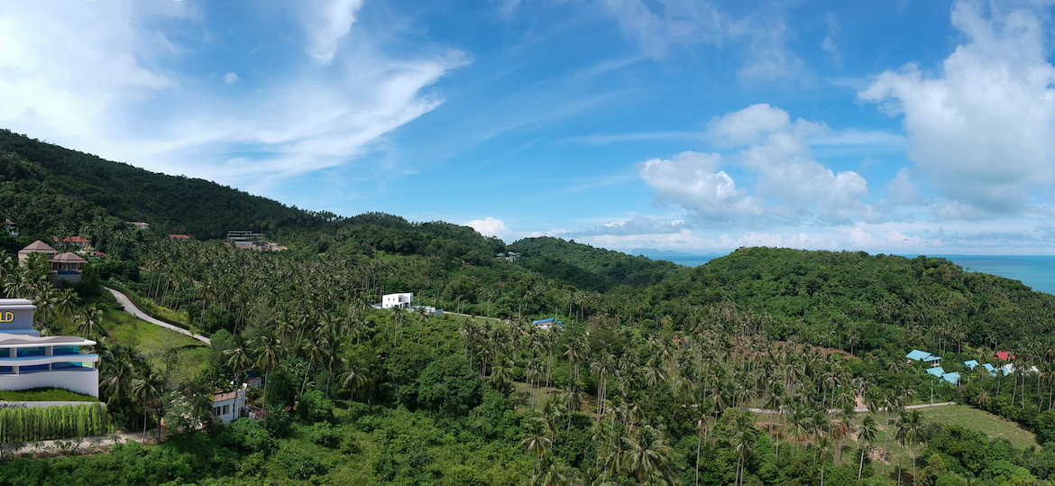 Pano Image