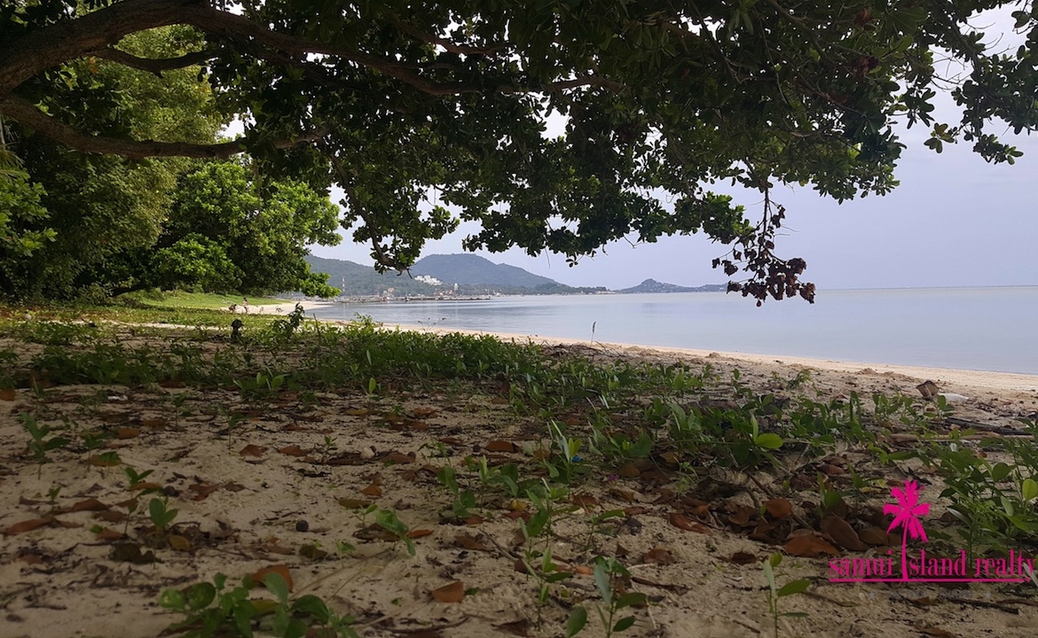 Hua Thanon Beachfront Land For Sale Samui – Land in Koh Samui (photo 4)