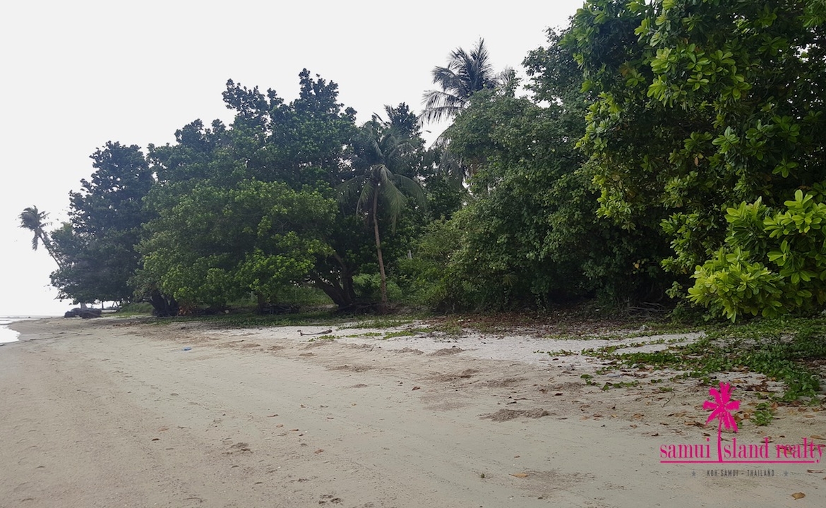 Hua Thanon Beachfront Land For Sale Samui – Land in Koh Samui (photo 5)