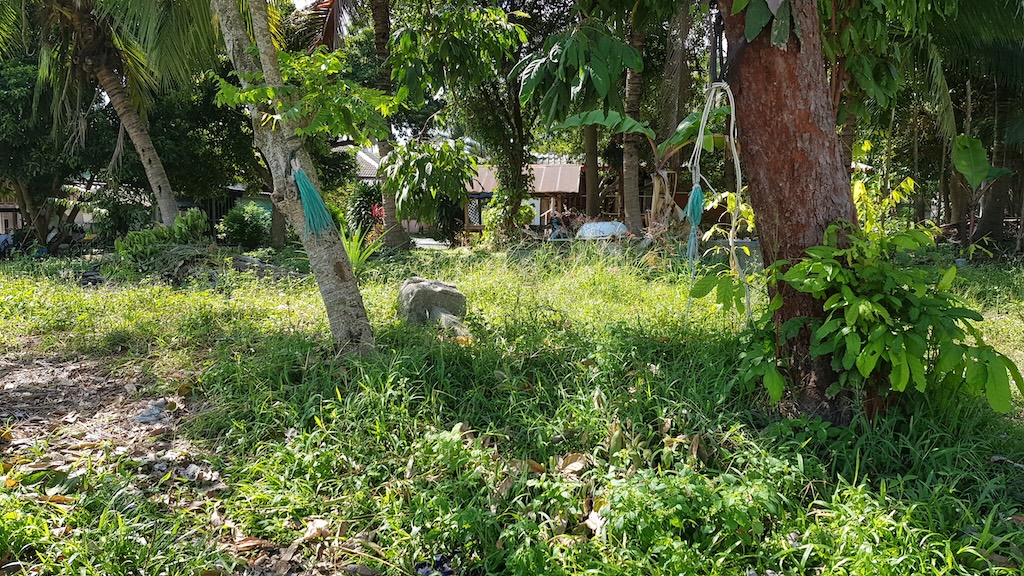 Ko Samui Chaweng Land
