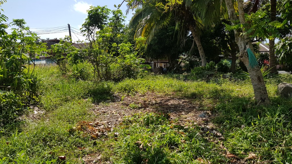 Ko Samui Chaweng Land