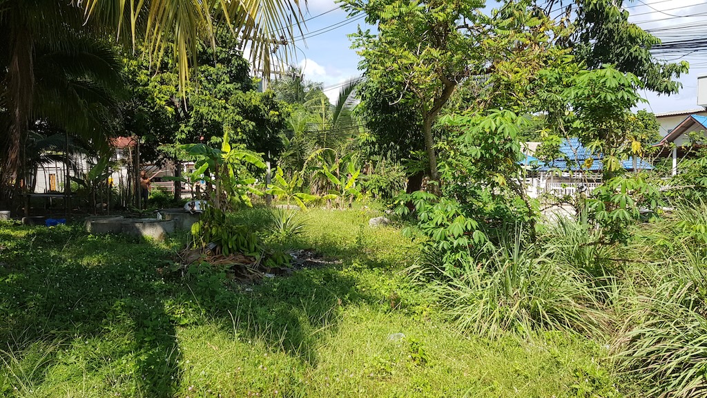 Ko Samui Chaweng Land
