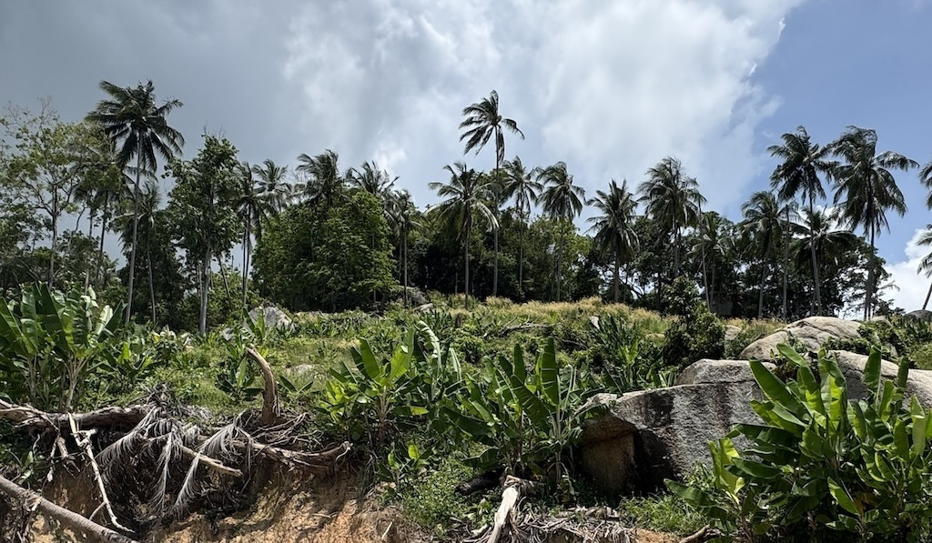 Ko Samui Land Land For Sale