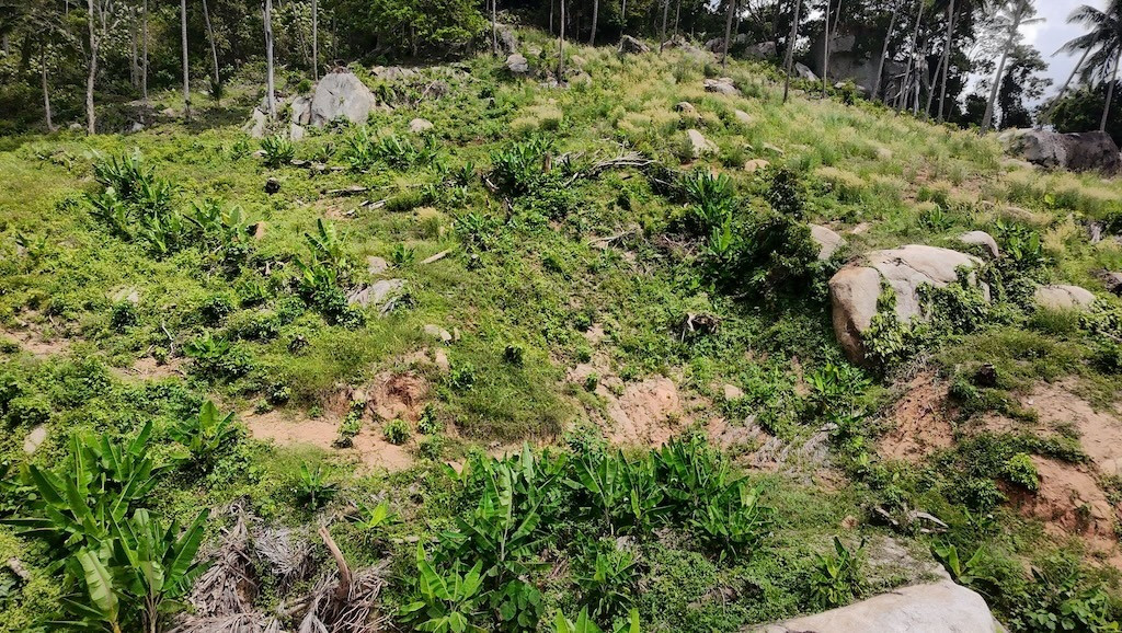 Ko Samui Lamai Land For Sale