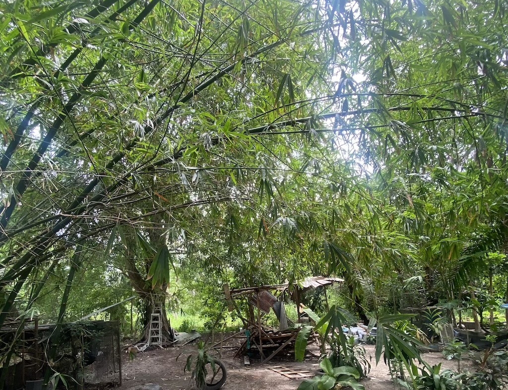 Ko Samui Land Bang Kao