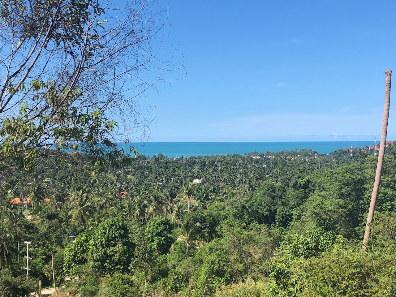 Ko Samui Land For Sale Plai Laem – Land in Koh Samui (photo 1)