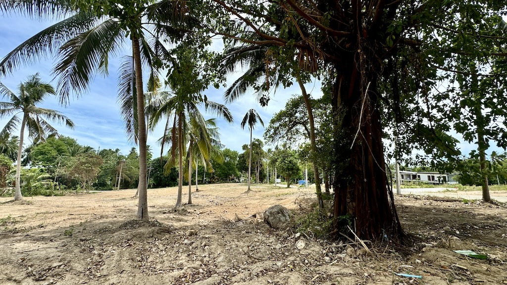 Ko Samui Land In Bang Po