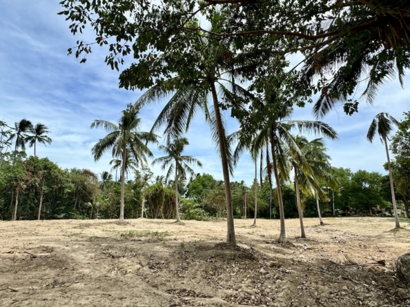Ko Samui Land In Bang Po