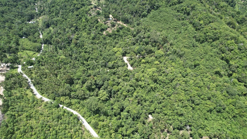 Ko Samui Land Maenam Aerial
