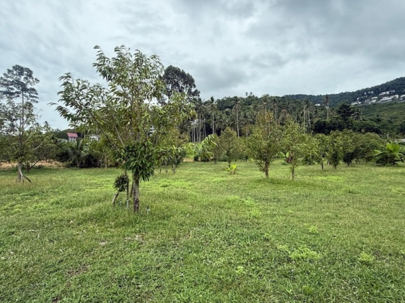 Ko Samui Land Plot In Bang Por