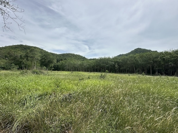 Ko Samui Land Plots