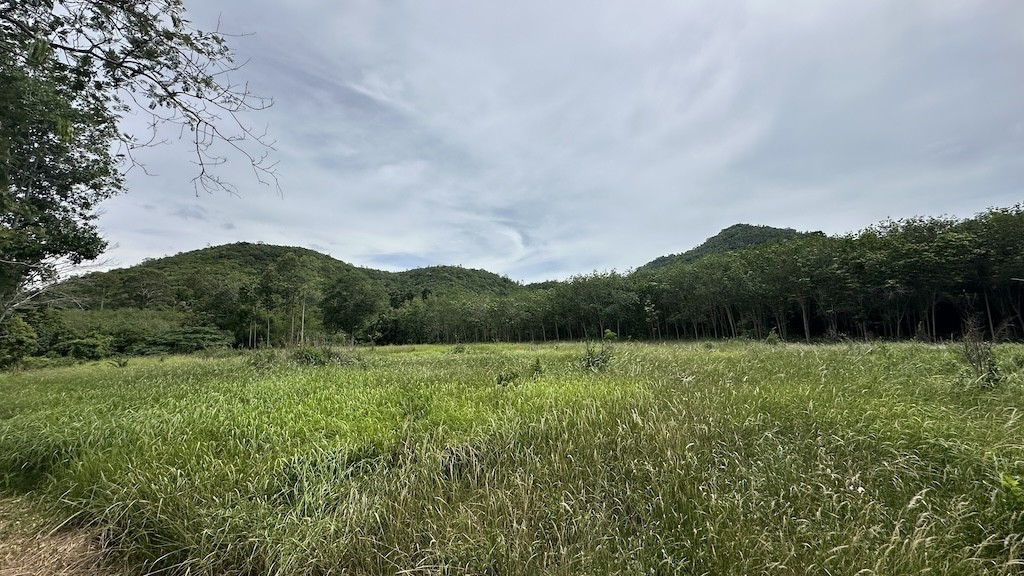Ko Samui LAnd Plots