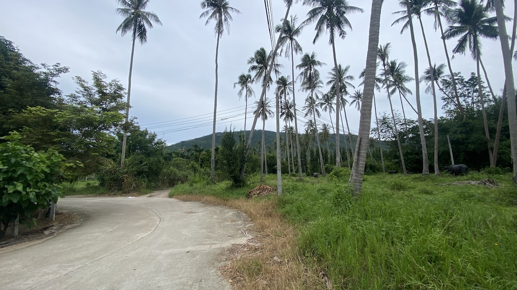 Ko Samui Taling Ngam Land Road