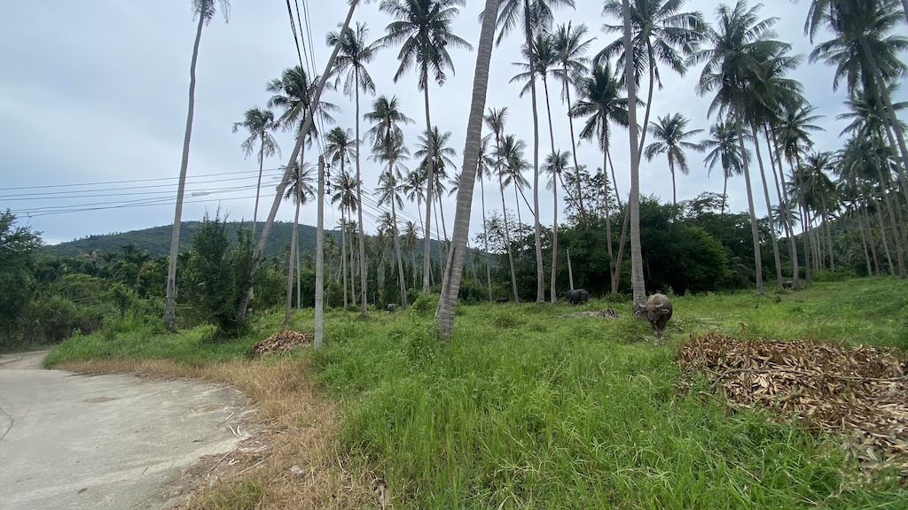 Ko Samui Taling Ngam Land