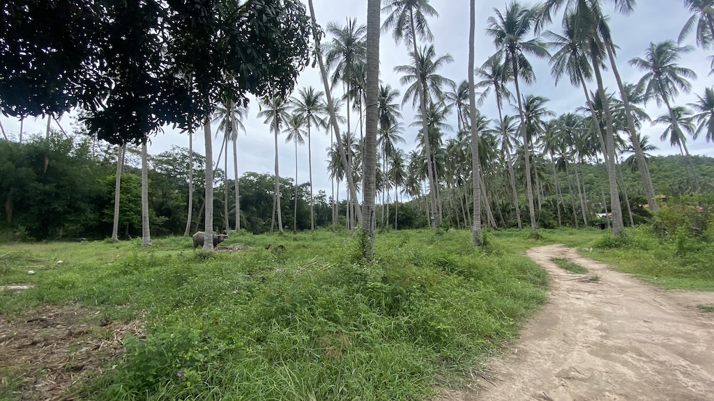 Ko Samui Taling Ngam Land Surroundings