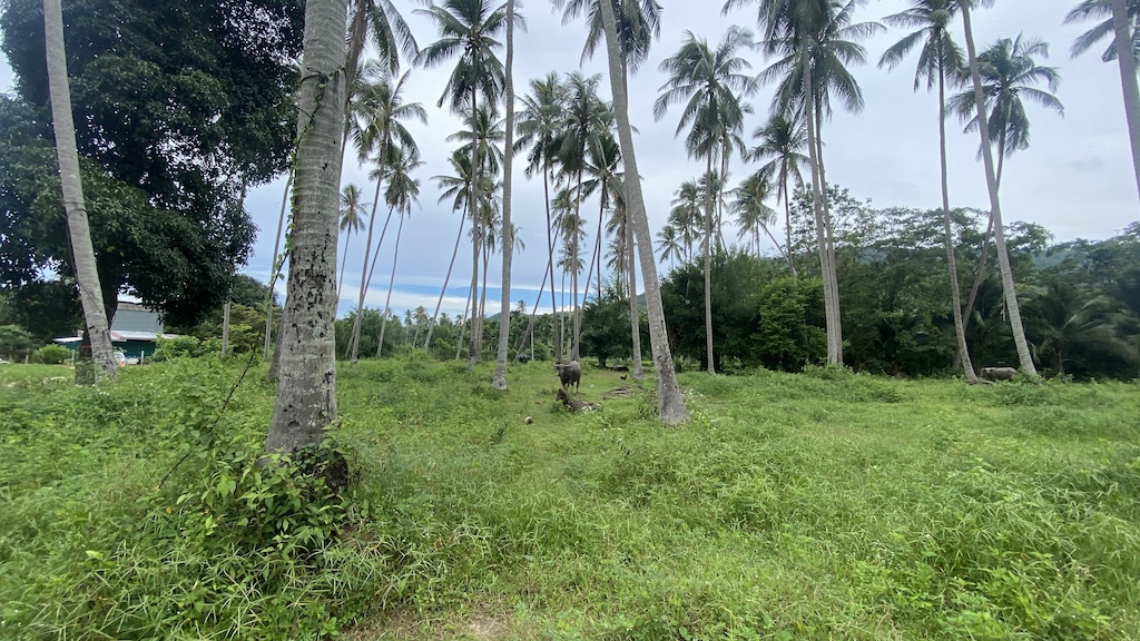 Ko Samui Taling Ngam Land