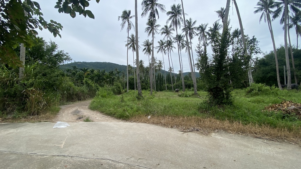 Ko Samui Taling Ngam Land