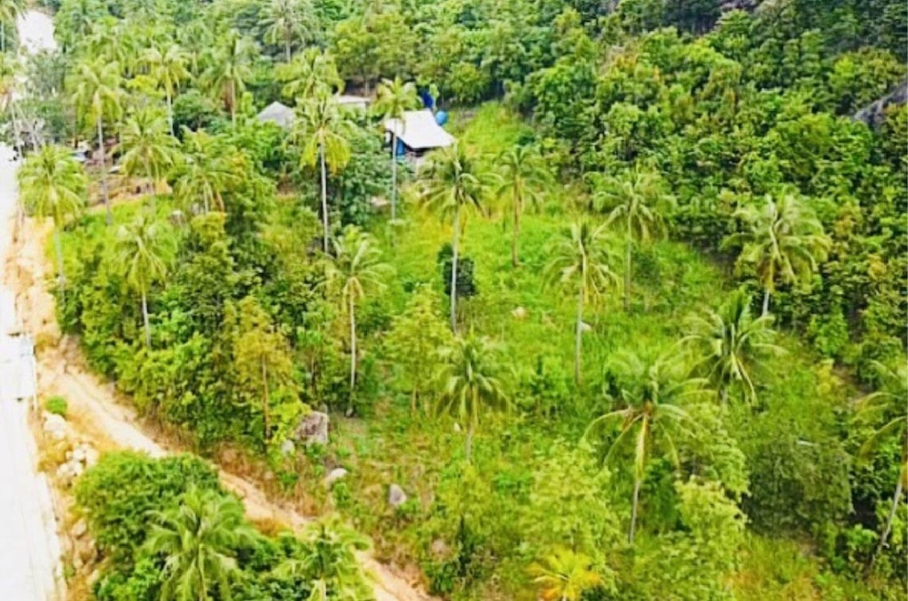 Koh Phangan Sea View Land Aerial