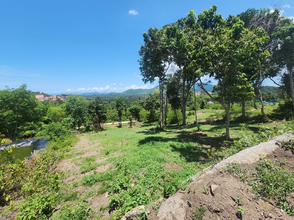 Koh Samui 1 Rai land Plots For Sale