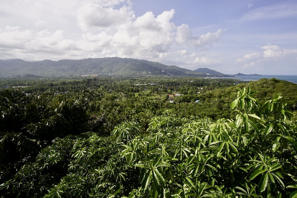 Koh Samui 4-Bedroom Sea View Villa Greenery