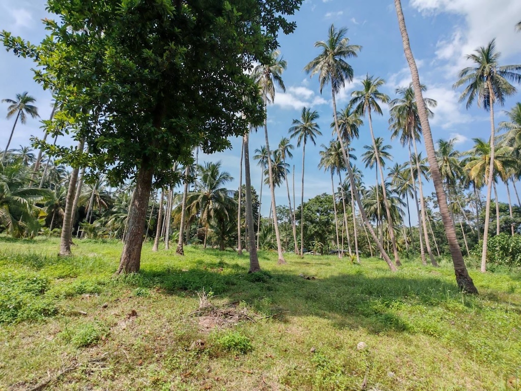 Koh Samui 4 Rai Land For Sale