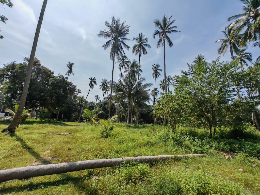 Koh Samui 4 Rai Land For Sale