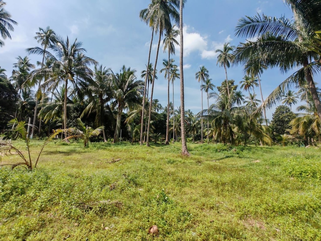 Koh Samui 4 Rai Land For Sale
