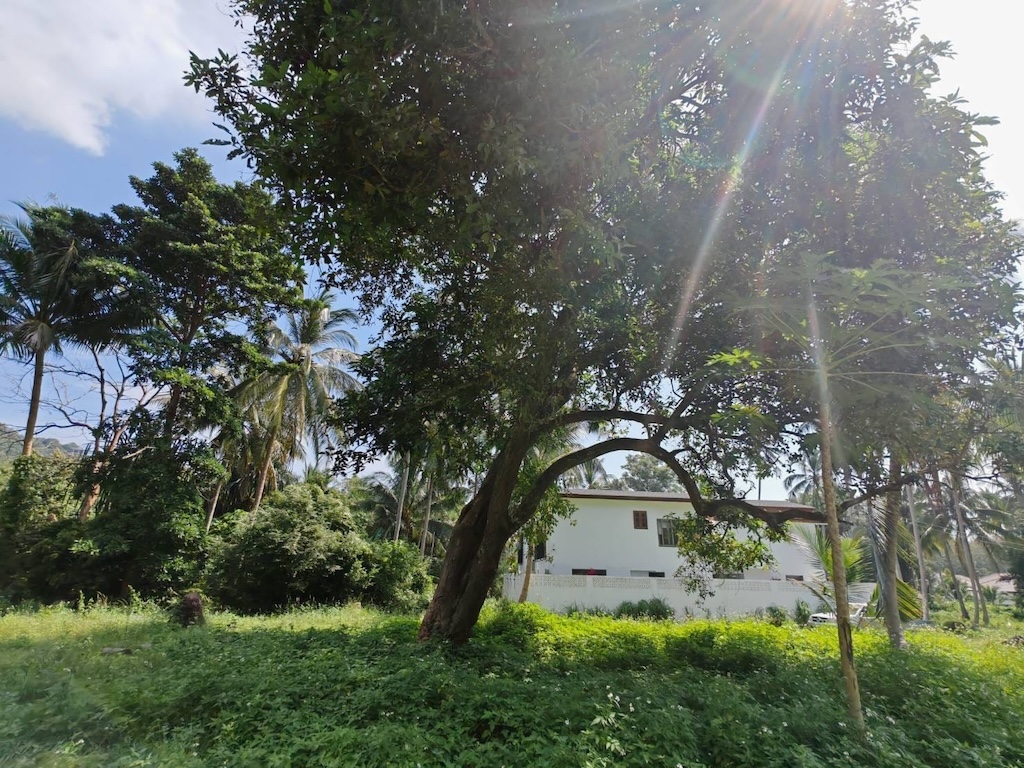 Koh Samui 4 Rai Land For Sale