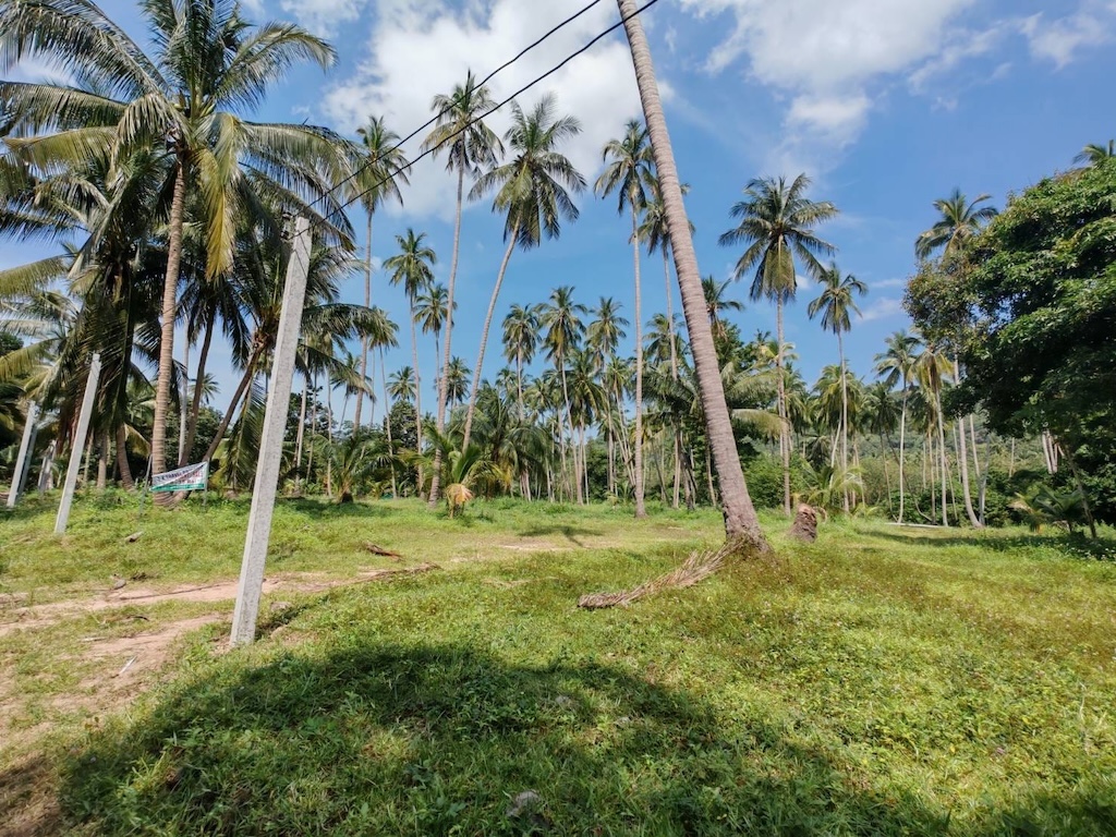 Koh Samui 4 Rai Land For Sale