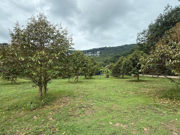 Koh Samui 800 Sqm Land For Sale in Bang Po