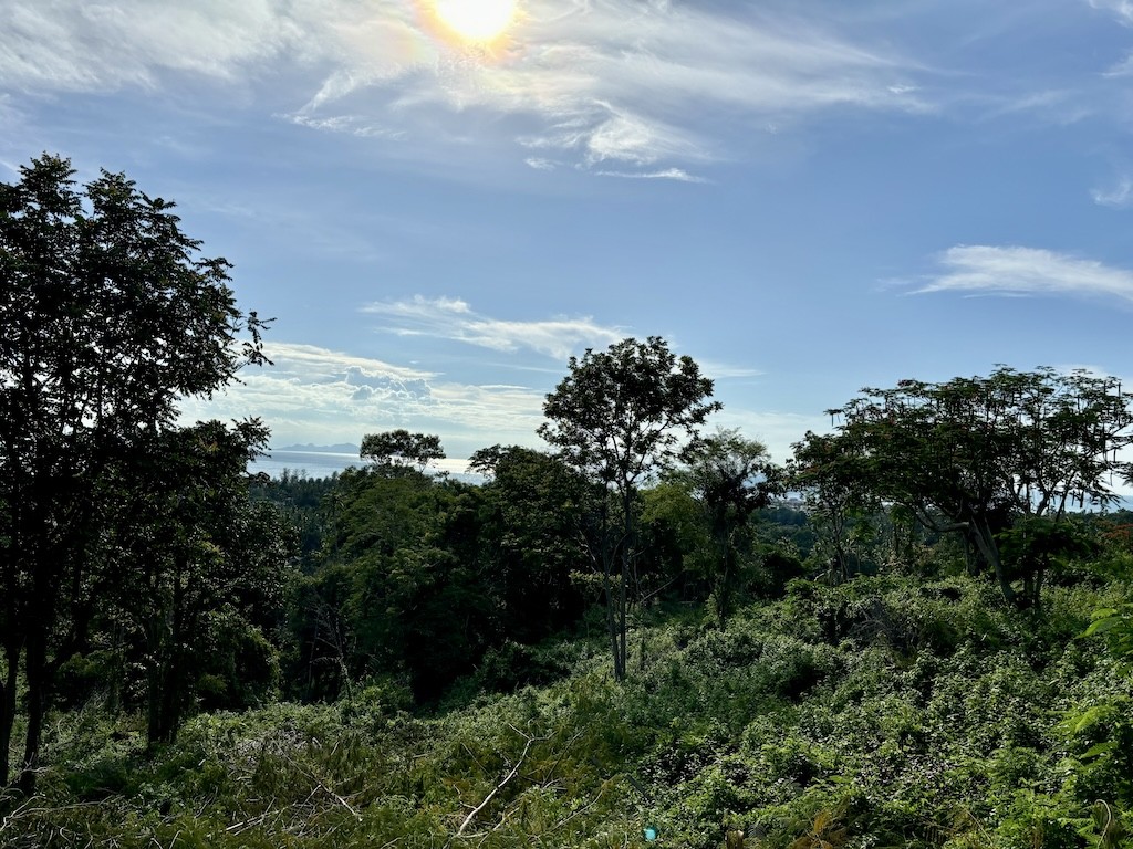 Koh Samui Angthong Land View