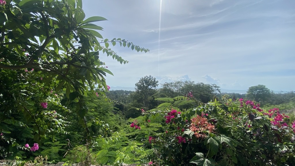 Koh Samui Angthong Land