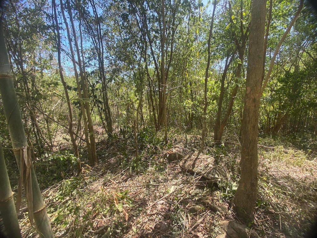 Koh Samui Baan Makham Land