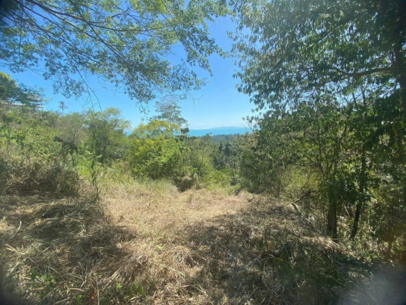 Koh Samui Baan Makham Land View