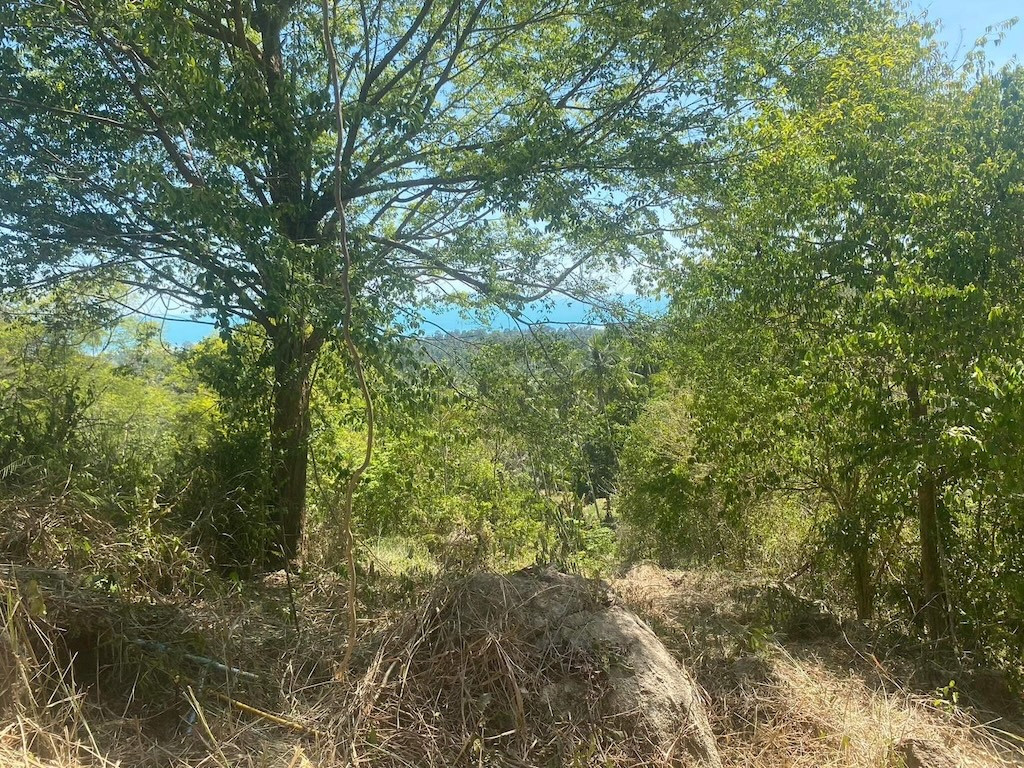 Koh Samui Baan Makham and