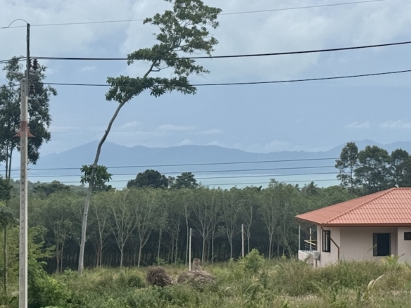 Koh Samui Ban Tai Land For Sale