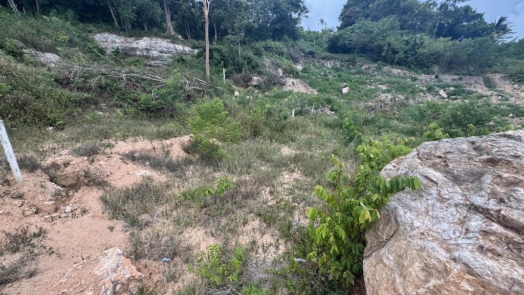 Koh Samui Ban Tai Land For Sale