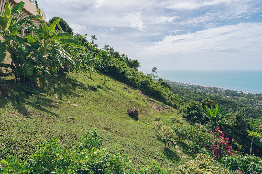 Koh Samui Bang Po Villa For Sale Land