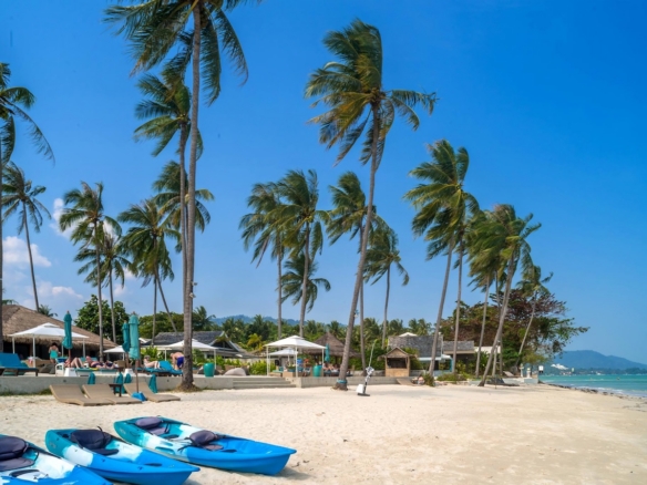 Koh Samui Beach Club For Sale Beachfront