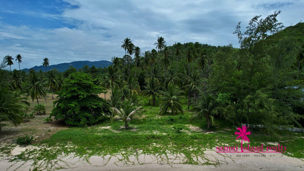 Koh Samui Beach Land Beachfront