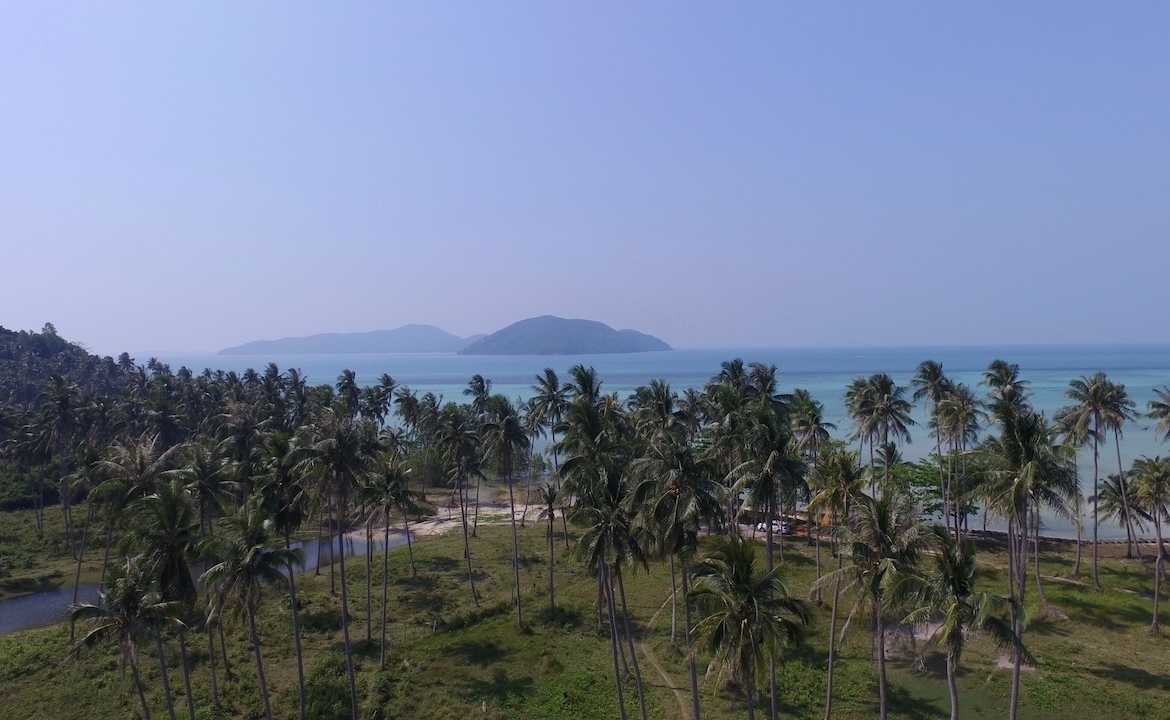 Koh Samui Beach Parcel Palms