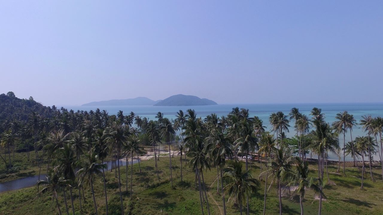 Koh Samui Beach Parcel Palms