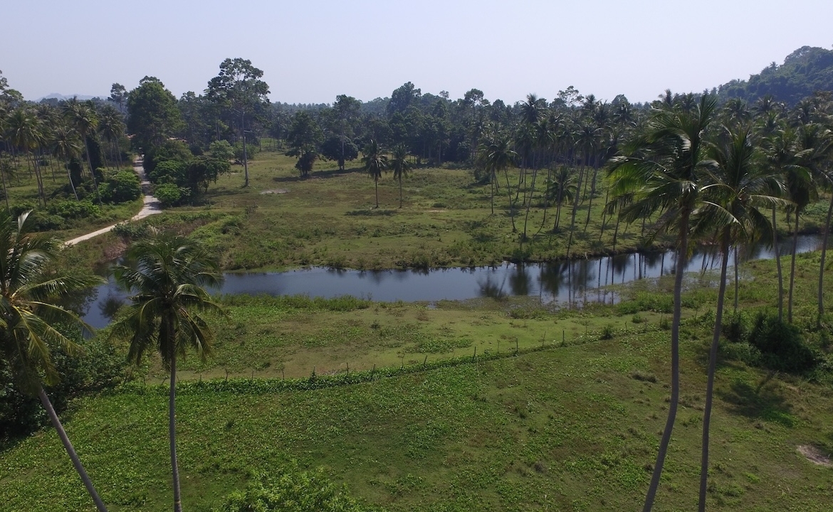 Koh Samui Beach Parcel Inland