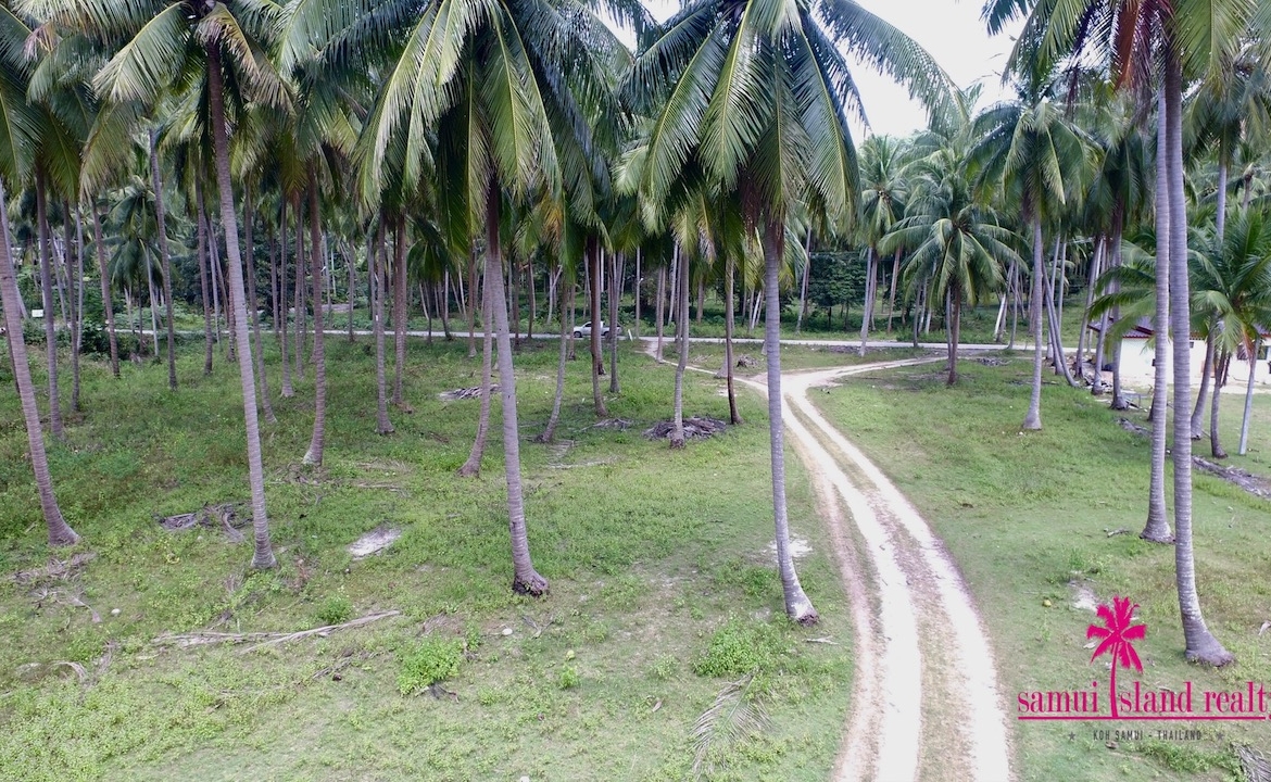 Koh Samui Beachfront Land Baan Makham – Land in Koh Samui (photo 3)