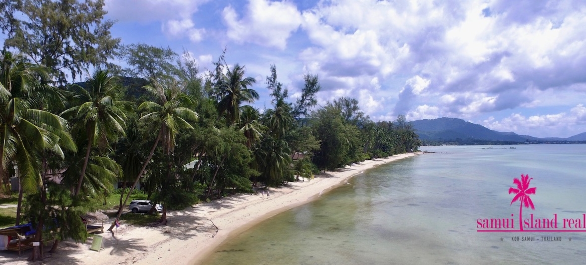Koh Samui Beachfront Land Baan Makham – Land in Koh Samui (photo 6)
