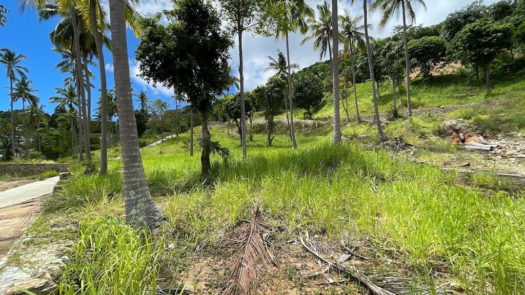 Koh Samui Bophut Sea View Land 10