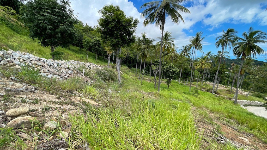 Koh Samui Bophut Sea View Land Contour