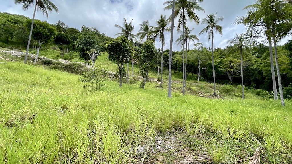 Koh Samui Bophut Sea View Land Gentle Slope