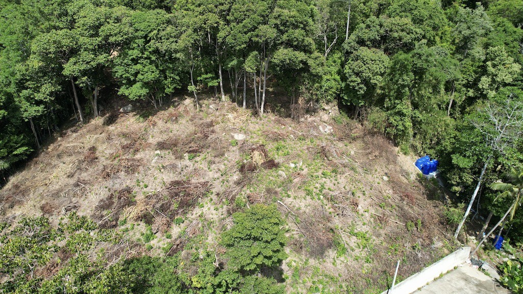 Koh Samui Chaweng Land Arial